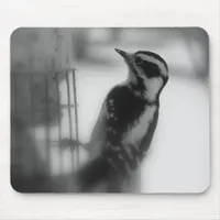 Downy Woodpecker Mouse Pad