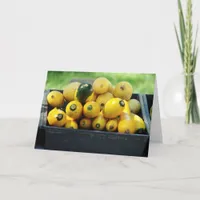 Farmer's Market Produce Card