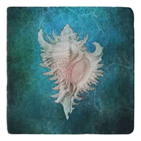 Conch Shell Trivet