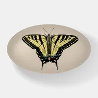 Southwestern Yellow Swallowtail Butterfly  Paperweight