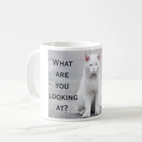 Fun What Are You Looking At Cat Coffee Mug