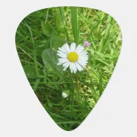 Pretty Little White and Yellow Miniature Daisy Guitar Pick