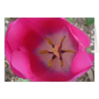 Pink Flower at the Gardens