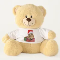 Maine Coon Cat Santa & Gifts on Teddy Bear Toy