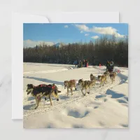 Iditarod Trail Sled Dog Race Invitation