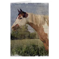 Pinto Horse Grunge