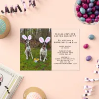 Easter Egg Hunt and Party Dogs Easter Acrylic Invitations
