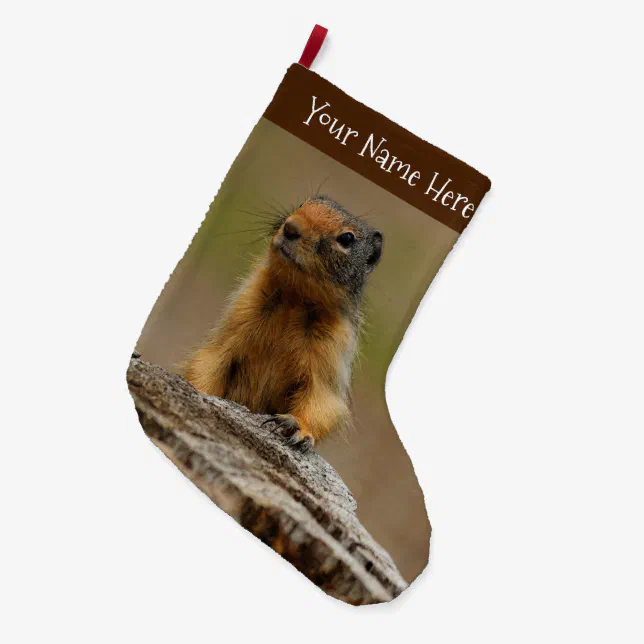 Funny Cute Saucy Columbian Ground Squirrel Large Christmas Stocking