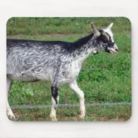Amish Goat Mouse Pad