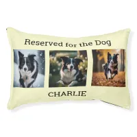 Reserved for the Dog Multi Photo Modern Cream Pet Bed