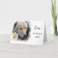 *~* AP61 Sad Lab Retriever Flower Message Card