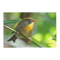 Colorful Leiothrix / Pekin Robin Songbird Placemat