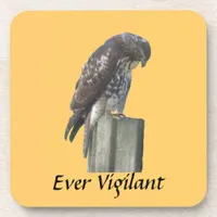 Coaster set - Falcon - Ever Vigilant