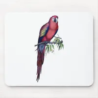 Vintage Macaw Bird Mouse Pad