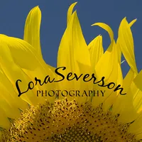 Lora Severson Photography