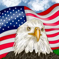 Hand drawn Bald Eagle