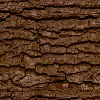 Rustic Faux Piece of Wood Grain Tree Bark