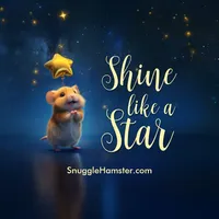 Cute Hamster with text Shine like a Star