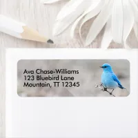 Stunning Mountain Bluebird Songbird on Tansy Return Address Labels